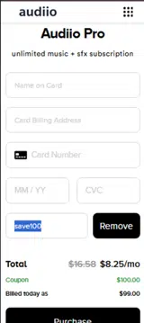 SAVE100 coupon verification screenshot