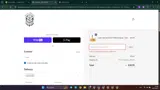 DUALFLAME coupon verification screenshot