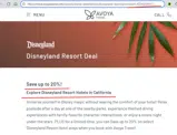 ATDIS250817 coupon verification screenshot