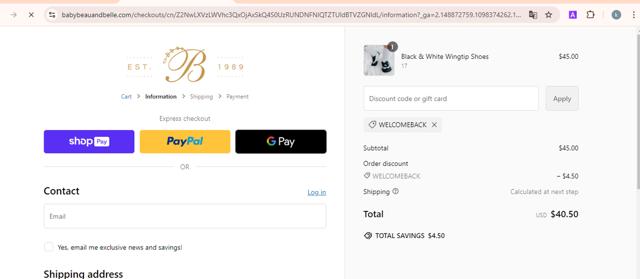 Baby Beau & Belle checkout page showing Baby Beau & Belle promo code box | Screenshot taken by SimplyCodes community member on Nov 22, 2024