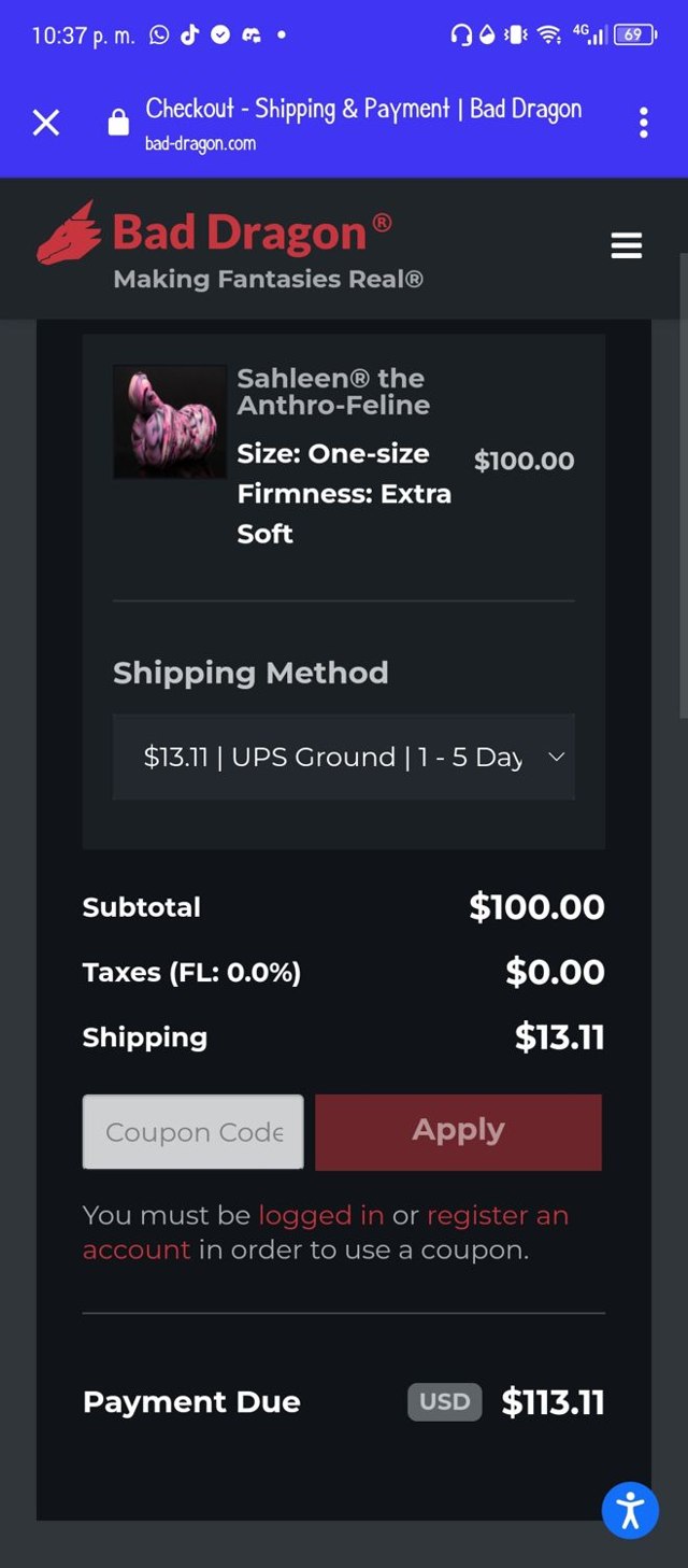 Bad Dragon checkout page showing Bad Dragon coupon code box | Screenshot taken by SimplyCodes community member on Feb 20, 2024