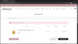 Baginning coupon verification screenshot