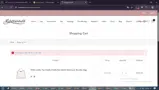 Baginning coupon verification screenshot
