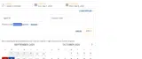 ADVANCE coupon verification screenshot