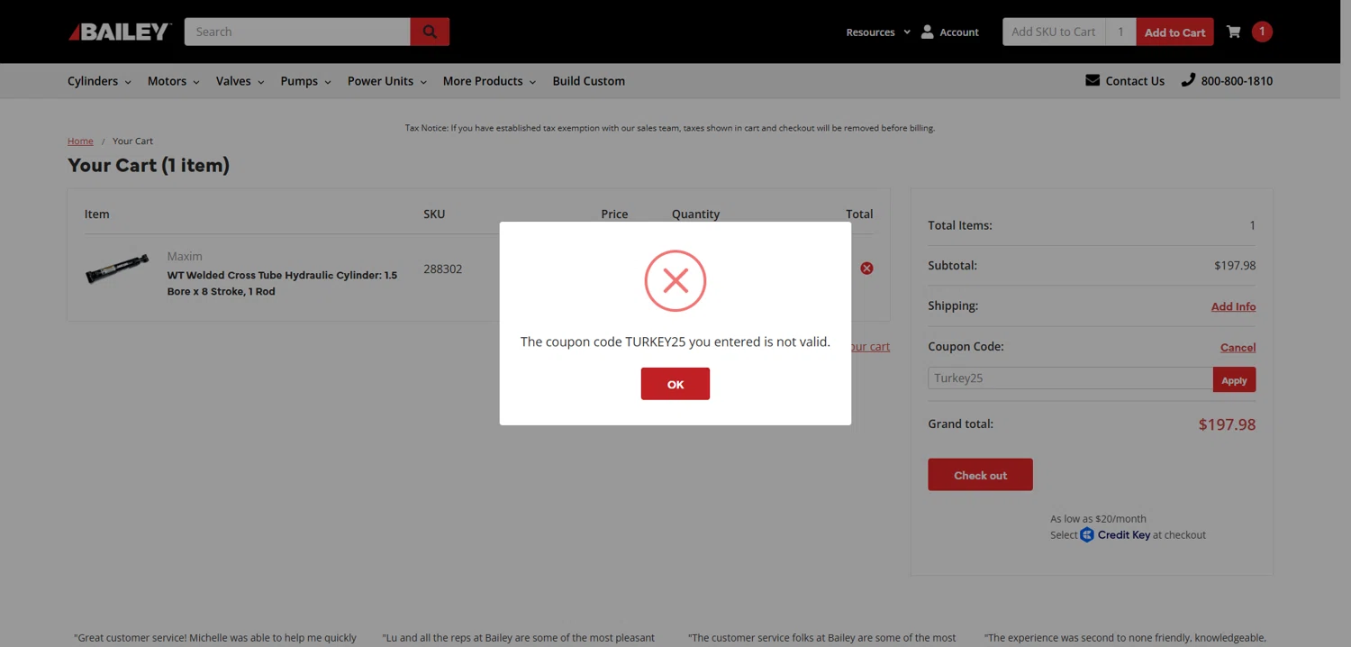 Bailey Hydraulics promo code screenshot showing code Turkey25 applied at Bailey Hydraulics checkout page. Uploaded by SimplyCodes community member SilverLynx3397 on Dec 9, 2025