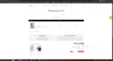 TRYBB16 coupon verification screenshot