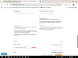 BalloonPlanet.com coupon verification screenshot