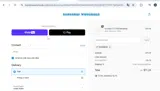 Bandanas Wholesale coupon verification screenshot