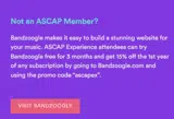 Bandzoogle coupon verification screenshot