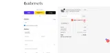 SPRINGSALE coupon verification screenshot