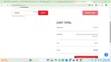 Barnes Bullets coupon verification screenshot