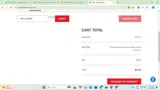 Barnes Bullets coupon verification screenshot