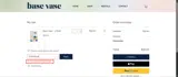 SPRING20 coupon verification screenshot