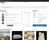 Basidium Equilibrium coupon verification screenshot