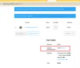 Basidium Equilibrium coupon verification screenshot
