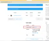 Basidium Equilibrium coupon verification screenshot