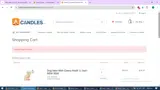 SPRING coupon verification screenshot