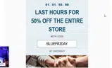 BLUEFRIDAY coupon verification screenshot