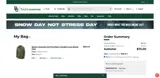 SNOWDAY10 coupon verification screenshot