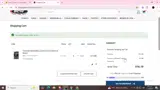 3A10 coupon verification screenshot