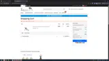 THANKS10 coupon verification screenshot
