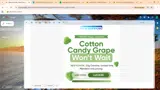 Bear Balanced coupon verification screenshot