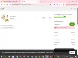 SPRING15 coupon verification screenshot