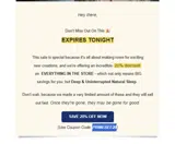 Beezy Beez Honey Store coupon verification screenshot