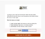 Beezy Beez Honey Store coupon verification screenshot