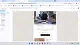 Bellocq Tea coupon verification screenshot