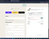 BELLZI15 coupon verification screenshot