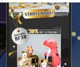 bf30 coupon verification screenshot