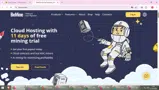 BeMine coupon verification screenshot