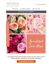 JUNEBDAY coupon verification screenshot