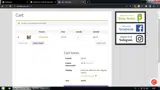 Beta Labs coupon verification screenshot