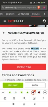 FREE250 coupon verification screenshot