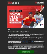 FREE250 coupon verification screenshot