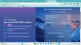 YESPLZ coupon verification screenshot