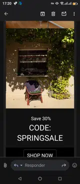 SPRINGSALE coupon verification screenshot