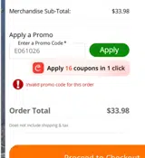 Big 5 Sporting Goods coupon verification screenshot