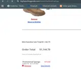 Big 5 Sporting Goods coupon verification screenshot