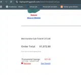 Big 5 Sporting Goods coupon verification screenshot