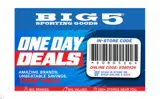 Big 5 Sporting Goods coupon verification screenshot