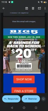Big 5 Sporting Goods coupon verification screenshot