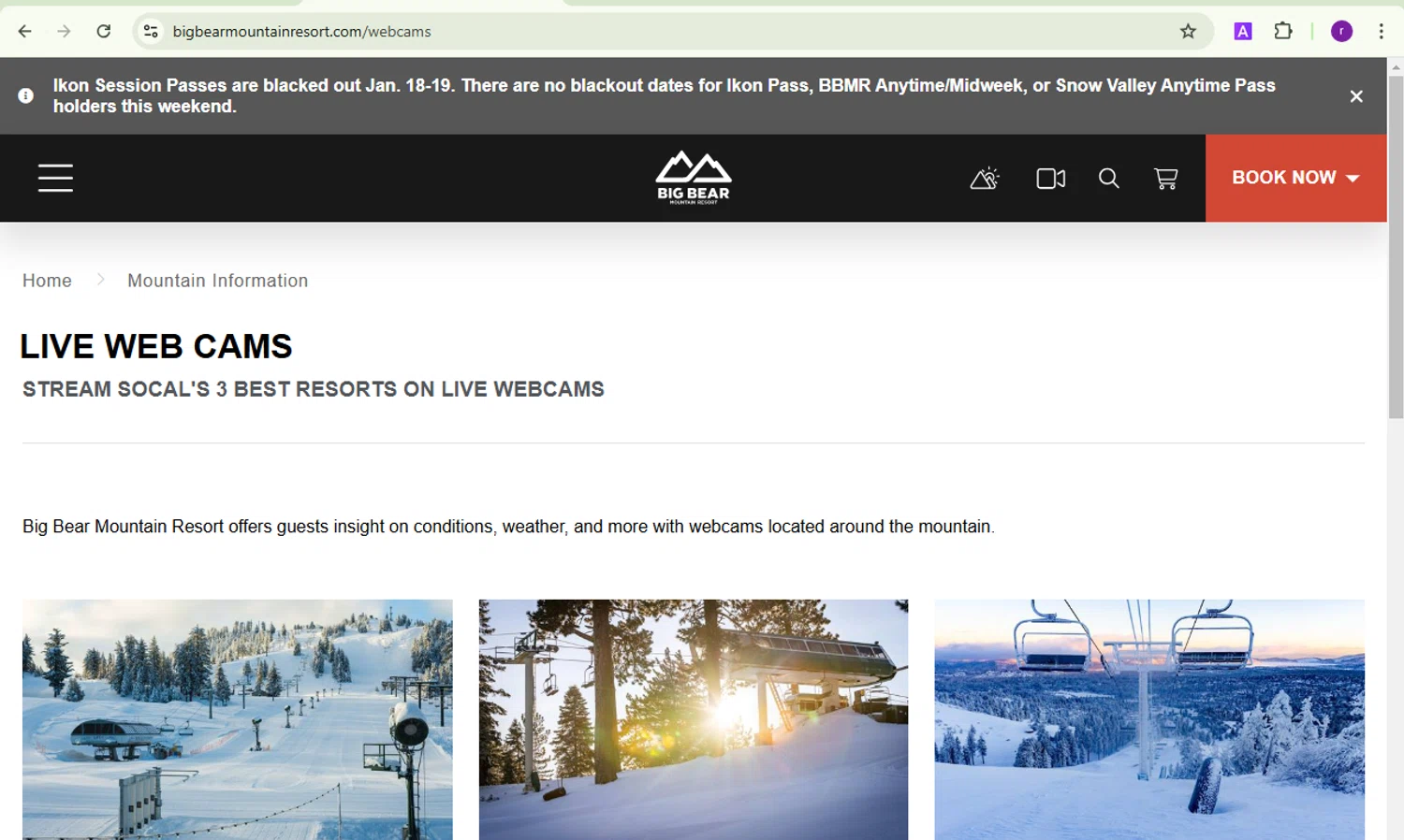 Big Bear Mountain Resort checkout page showing Big Bear Mountain Resort promo code box | Screenshot taken by SimplyCodes community member on Jan 18, 2025