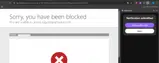 SPRING10 coupon verification screenshot