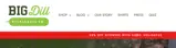 HOLIDAY25 coupon verification screenshot