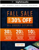 FALL10 coupon verification screenshot