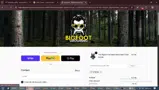 STEP20 coupon verification screenshot