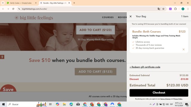 Big Little Feelings checkout page showing Big Little Feelings promo code box | Screenshot taken by SimplyCodes community member on Dec 19, 2024